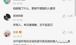 刘一飞爆料黄磊视频播放,刘一飞揭露黄磊视频播放背后真相