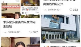 冯山多伦多爆料视频全集,揭秘背后真相与内幕