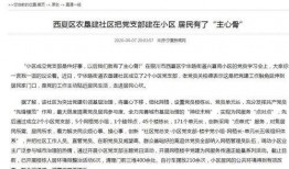在线观看西夏,穿越千年古国的奇幻之旅